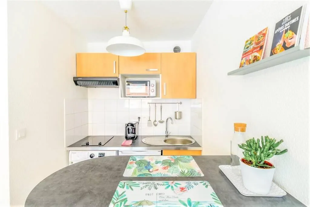 Appartement Le Montmorency - Free Parking - Airbus - Netflix Toulouse France